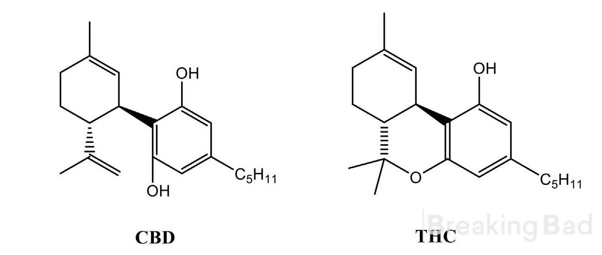 T6mFbiBWv2